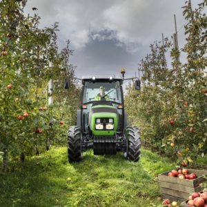 ciągnik sadowniczy