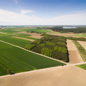 Przegląd maszyn rolniczych przed wiosną
